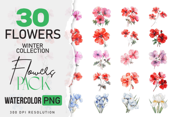 Watercolor Flowers Premade Flower Set: A Creative Time-Saver for Designers and DIY Enthusiasts